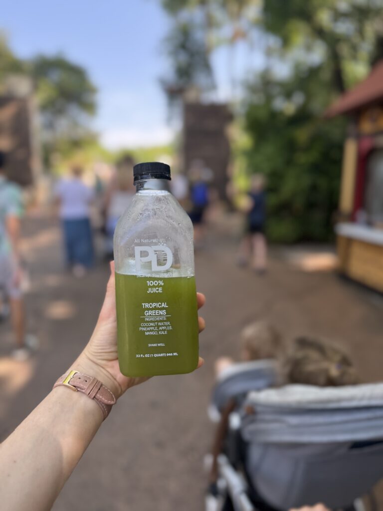 5 Tips to Keep Your Family Healthy at Disney World
