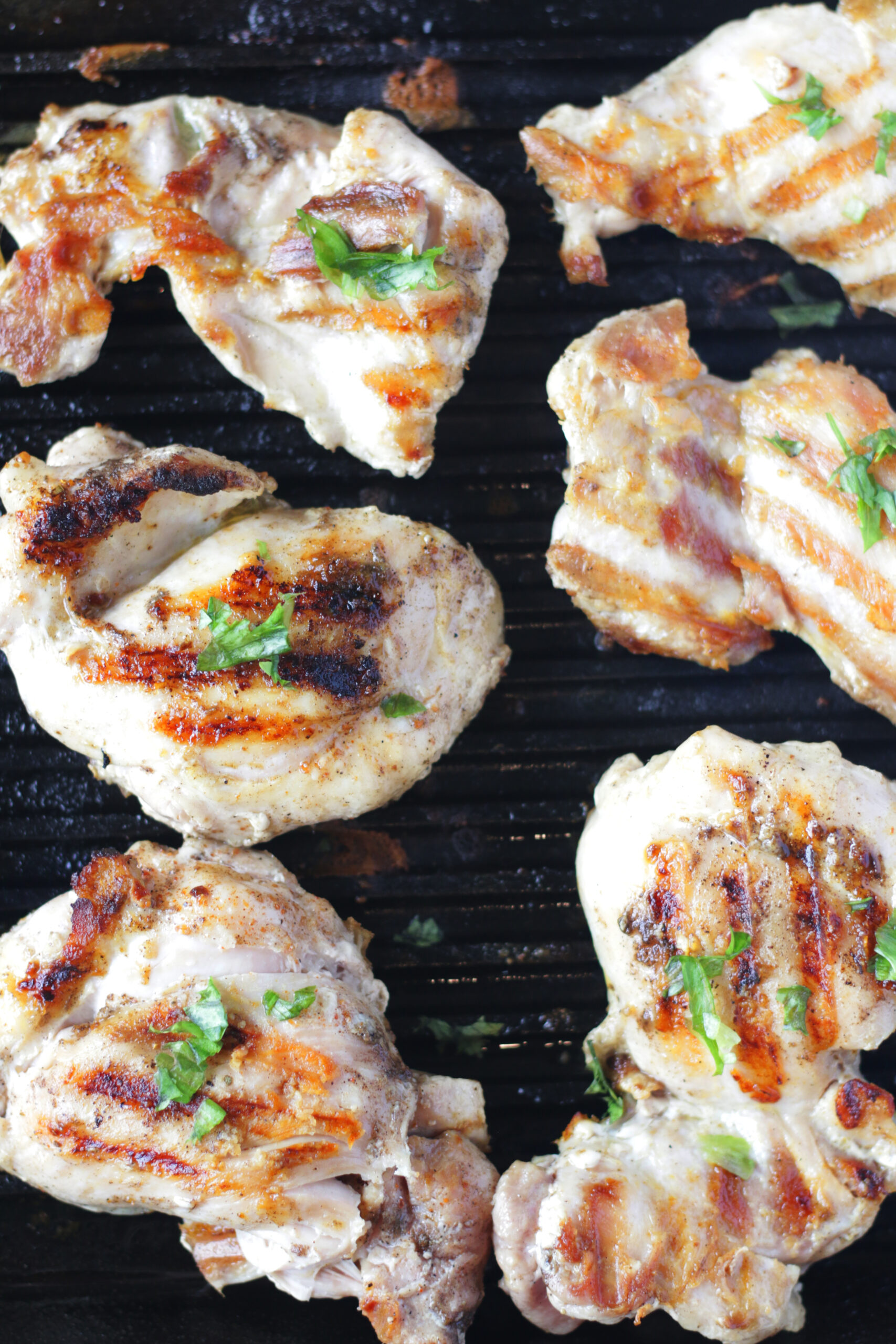 Easy Indoor Grilled Chicken